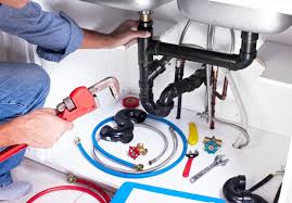 Best Plumbing System Maintenance  in Winnebago, MN